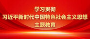 好想看靠逼视频免费学习贯彻习近平新时代中国特色社会主义思想主题教育_fororder_ad-371X160(2)